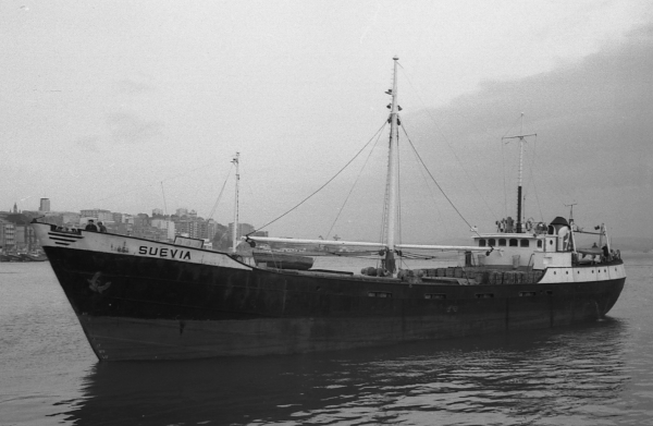 Suevia by T. Diedrich Suevia by T. Diedrich